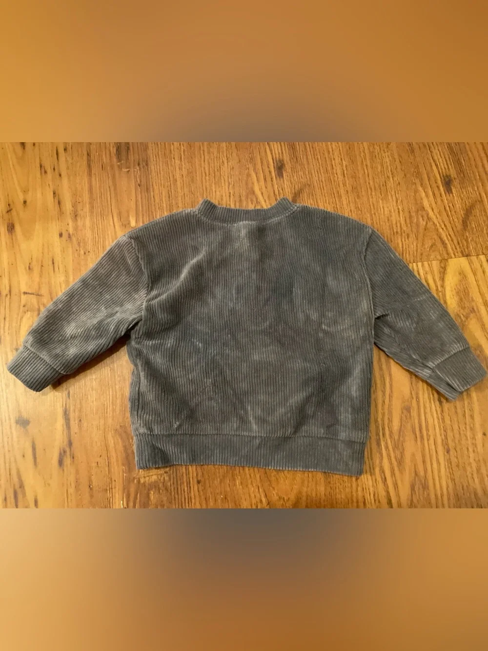 Carter's Corduroy Velour Crewneck Sweater in Slate Blue